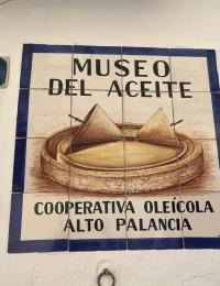 museo aceite